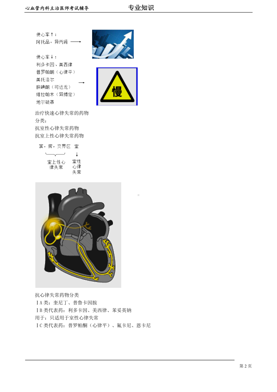 心血管内科主治医师资格笔试专业知识考点解析(2)：心律失常.doc_第2页