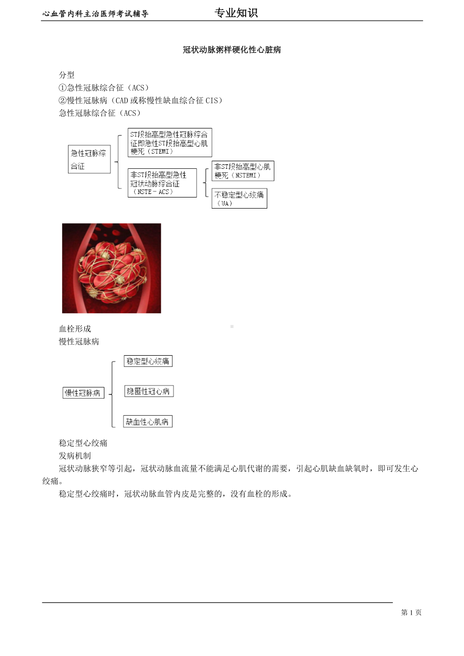 心血管内科主治医师资格笔试专业知识考点解析(6)：冠状动脉粥样硬化性心脏病.doc_第1页