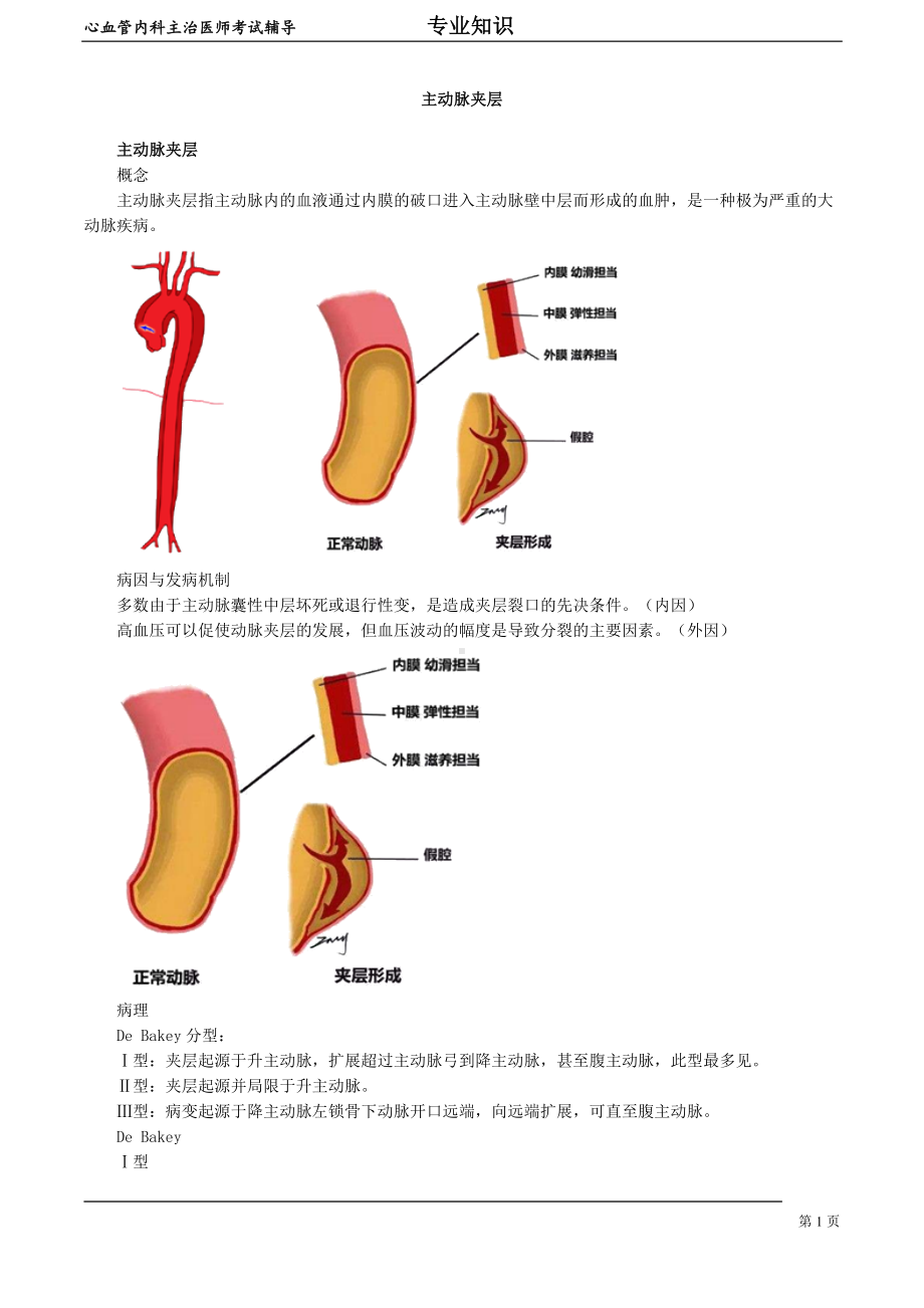 心血管内科主治医师资格笔试专业知识考点解析(11)：主动脉夹层.doc_第1页