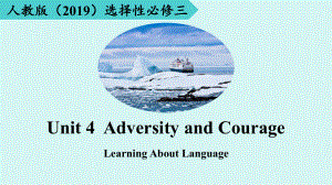 Unit 4 Adversity and Courage Learning About Language（ppt课件） -2024新人教版（2019）《高中英语》选择性必修第三册.pptx