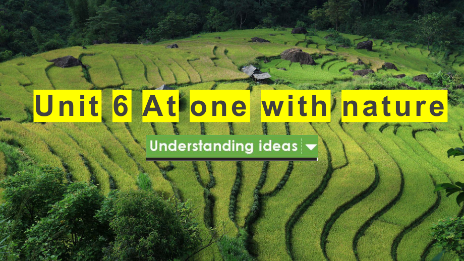 Unit+6+At+one+with+nature+Understanding+ideas+（ppt课件）-2024新外研版（2019）《高中英语》必修第一册.pptx_第1页