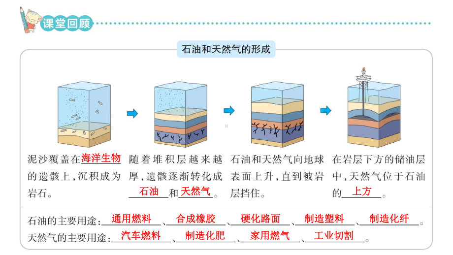 2024新青岛版（六三制）六年级下册《科学》第三单元课堂知识回顾与练习 复习ppt课件(共39张PPT).ppt_第2页