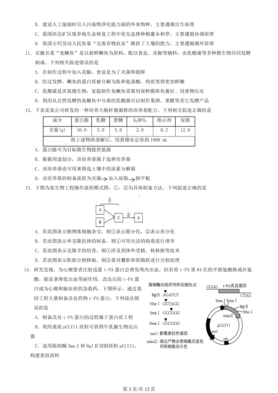 2024北京延庆高三3月月考生物（教师版）.docx_第3页