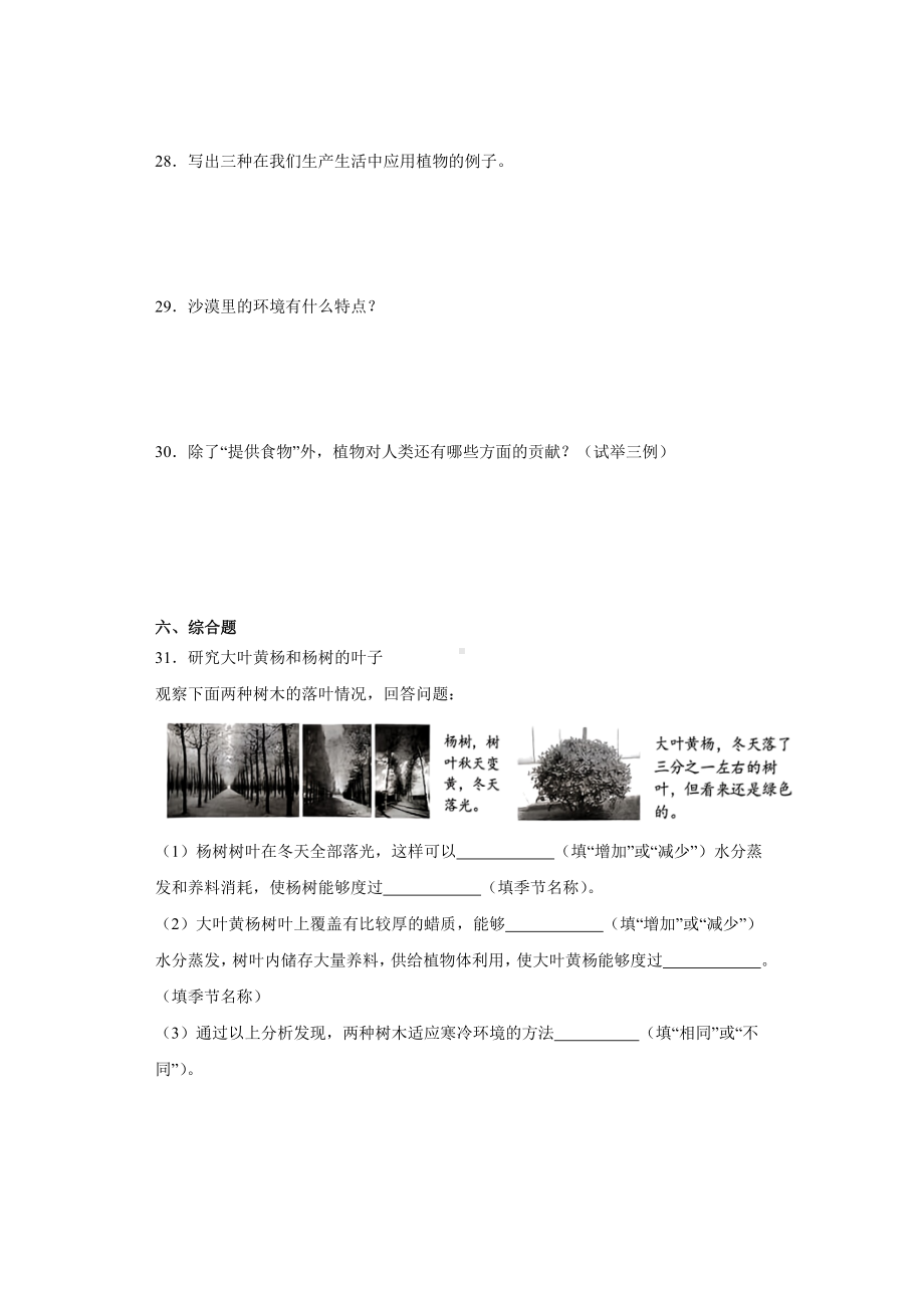 2024新苏教版三年级下册《科学》期中综合训练（1-2单元）（含答案）.docx_第3页