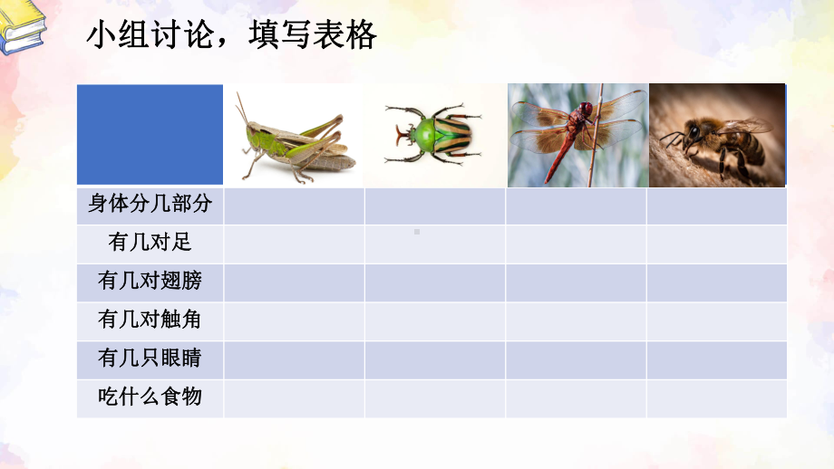 第5课 昆虫 ppt课件(共20张PPT)-2024新冀人版三年级下册《科学》.pptx_第3页