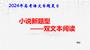 2024年高考语文专题复习：小说新题型双文本阅读 课件26张.pptx