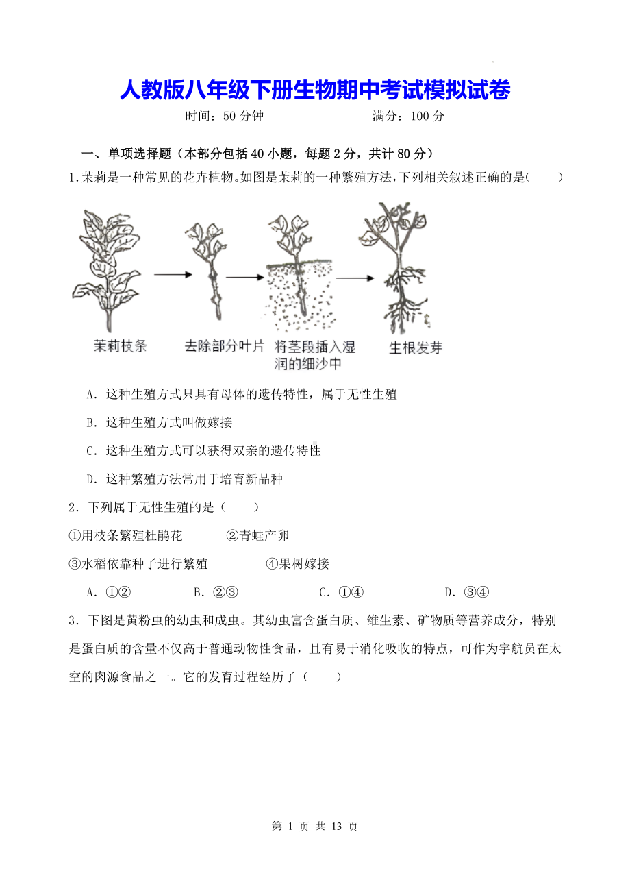 人教版八年级下册生物期中考试模拟试卷（Word版无答案）.docx_第1页