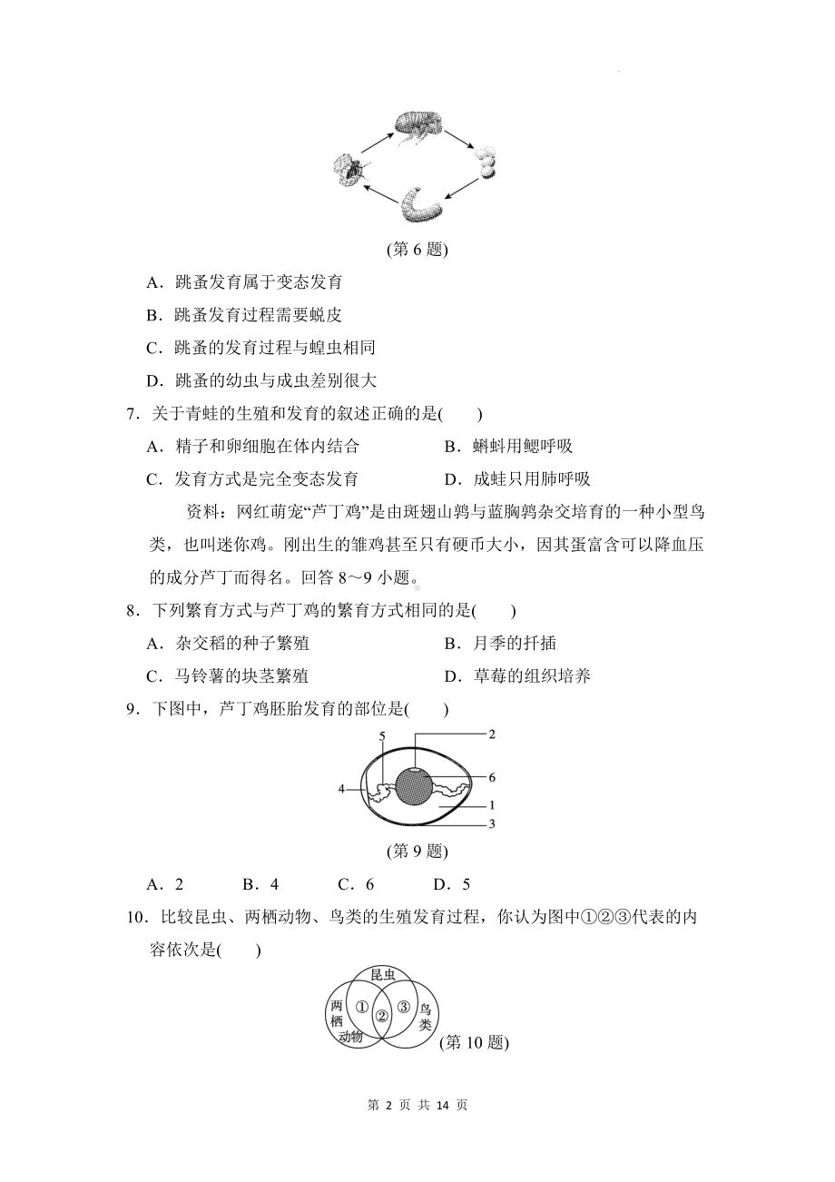 人教版八年级下册生物期中模拟测试卷（Word版含答案）.docx_第2页