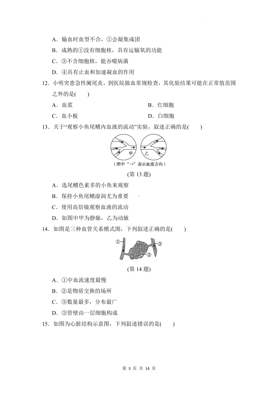 人教版七年级下册生物期末模拟测试卷（Word版含答案）.docx_第3页