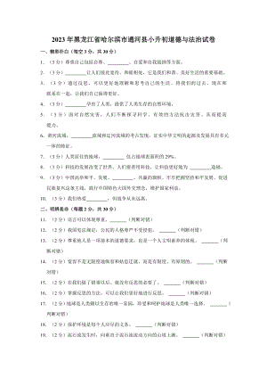 2023年黑龙江省哈尔滨市通河县小升初道德与法治试卷（含解析）（部编版）.doc