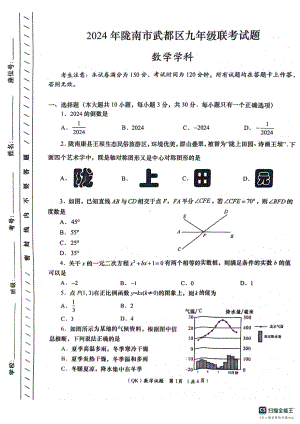 2024年甘肃省陇南市武都区九年级下学期联考模拟数学试卷 - 副本.pdf