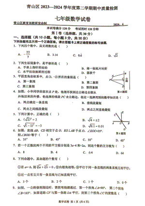 湖北省武汉市青山区2023一2024学年下学期期中质量检测 七年级数学试卷 - 副本.pdf