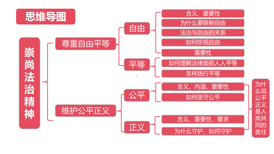 八年级下册第四单元崇尚法治精神 ppt课件- 2024年中考道德与法治一轮复习-2024年中考道德与法治复习.pptx_第2页