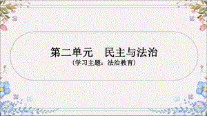 2024年中考一轮道德与法治复习：民主与法治 ppt课件-2024年中考道德与法治复习.pptx