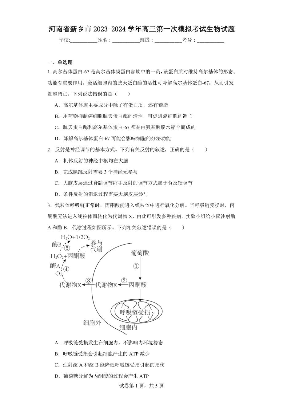 河南省新乡市2023-2024学年高三第一次模拟考试生物试题.docx_第1页