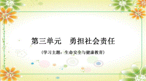 八年级上册第三单元 勇担社会责任 复习ppt课件-2024年中考道德与法治一轮复习(2)-2024年中考道德与法治复习.pptx