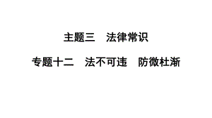 2024年广东省中考道德与法治总复习 ppt课件 专题十二 法不可违 防微杜渐-2024年中考道德与法治复习.pptx