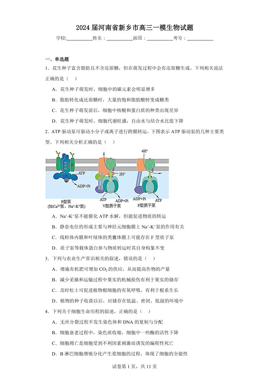 2024届河南省新乡市高三一模生物试题.docx_第1页