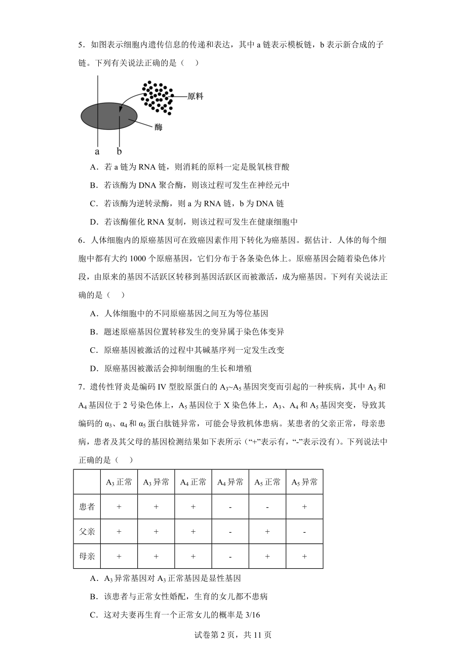 2024届河南省新乡市高三一模生物试题.docx_第2页