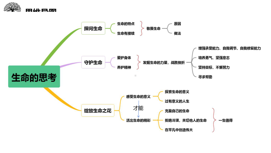 七年级上册第四单元生命的思考 复习ppt课件-2024年中考道德与法治一轮复习-2024年中考道德与法治复习.pptx_第3页