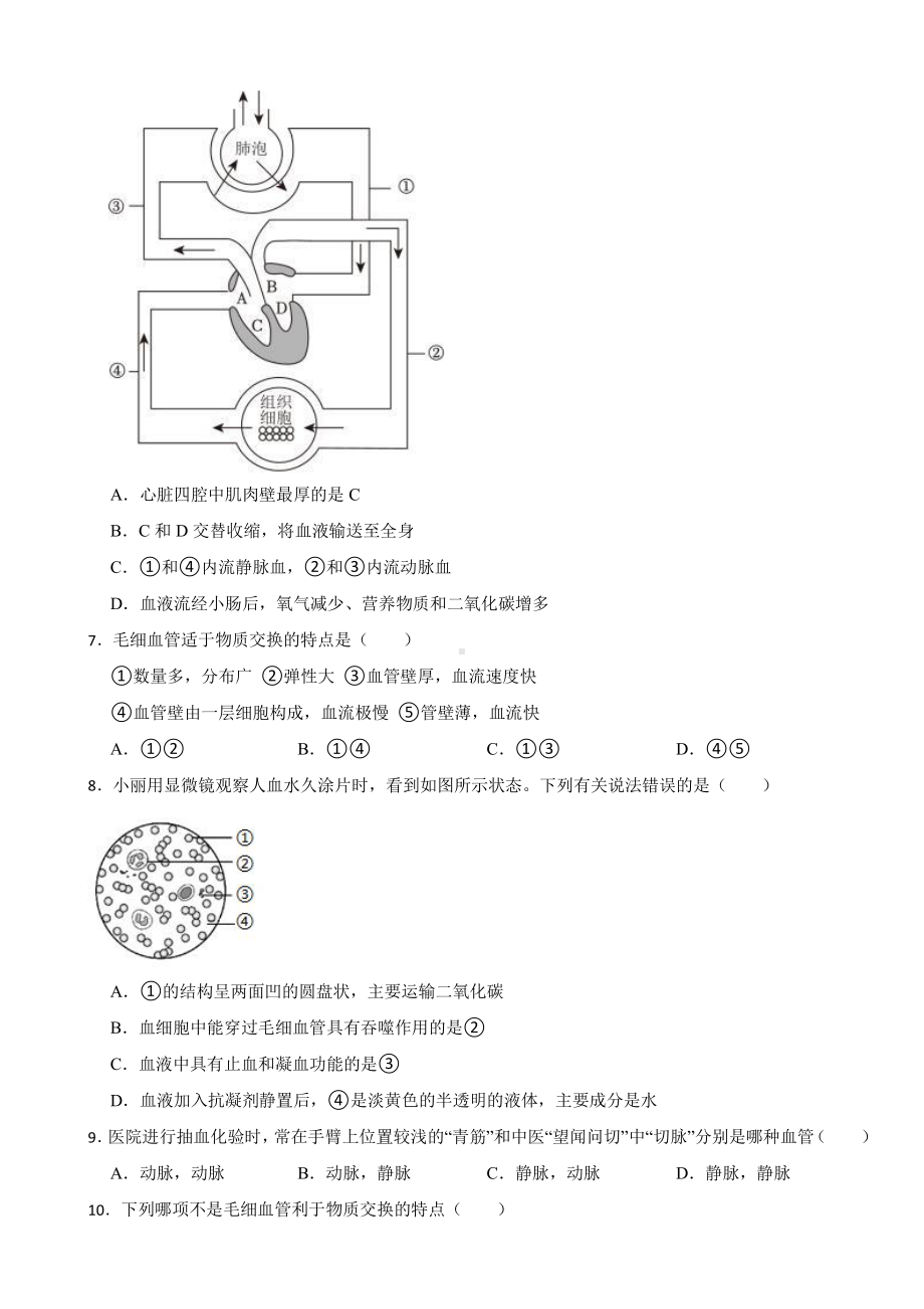 北师大版七年级下学期生物学期中试卷及答案.pdf_第2页