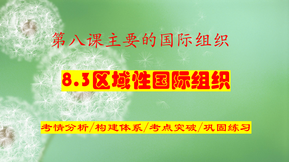 2024年高考政治复习 8.3 区域性国际组织ppt课件-2024届高考政治一轮复习统编版选择性必修一当代国际政治与经济.pptx_第1页