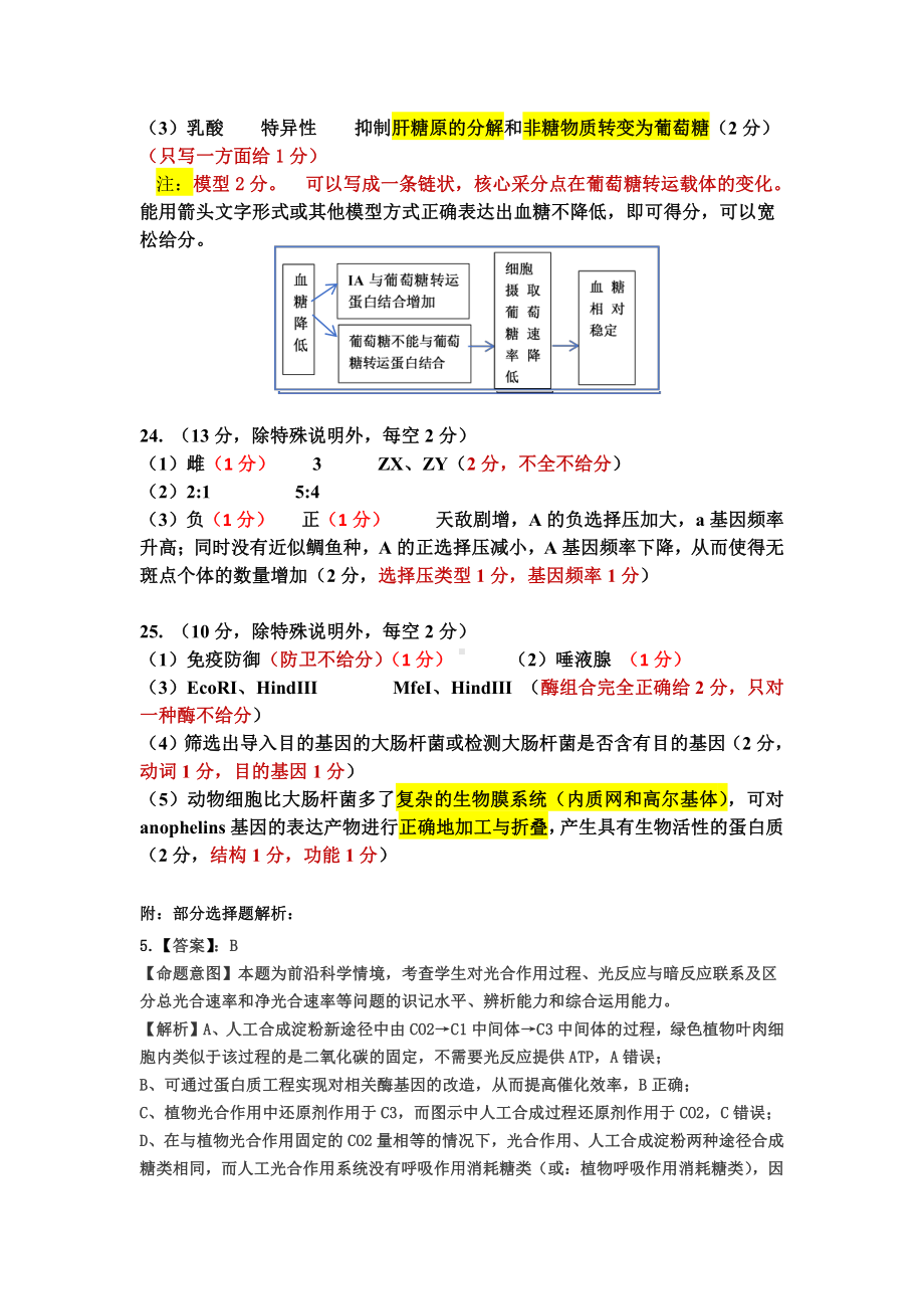 吉林省吉林市2024届高三下学期3月第三次模拟考试生物参考答案.pdf_第2页