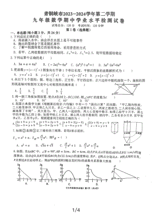 宁夏回族自治区吴忠市青铜峡市2023-2024学年九年级下学期4月期中数学试题 - 副本.pdf