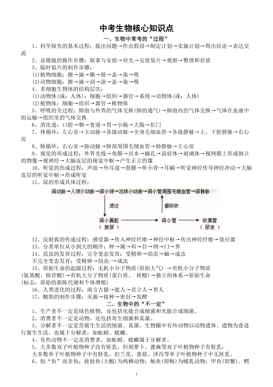 初中生物人教版2024届中考核心知识点整理.doc_第1页