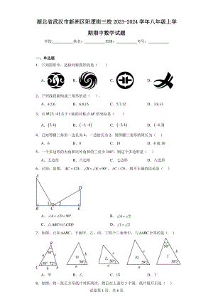 湖北省武汉市新洲区阳逻街三校2023-2024学年八年级上学期期中数学试题.pdf