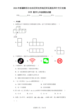 2024年新疆维吾尔自治区阿克苏地区阿瓦提县拜什艾日克镇中学数学九年级模拟试题.pdf