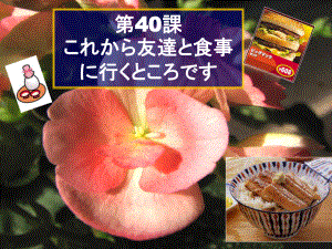 第40課 これから友達と食事に行くところです （ppt课件）-2024新新版标准日本语版《高中日语》初级下册.pptx