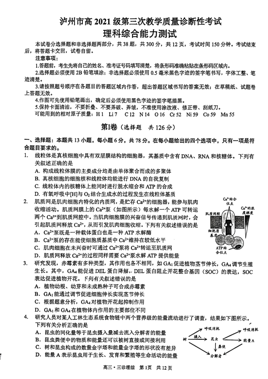 2024届四川省泸州市高三下学期三模理综试题 - 副本.pdf_第1页