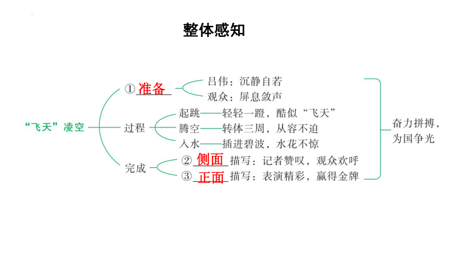 第3课《“飞天”凌空-跳水姑娘吕伟夺魁记》习题ppt课件-（部）统编版八年级上册《语文》.pptx_第3页