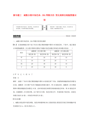 (部编本人教版)最新高中生物-第2章微专题三DNA等数目的变化规律及细胞图像识别学案（经典练习）.doc