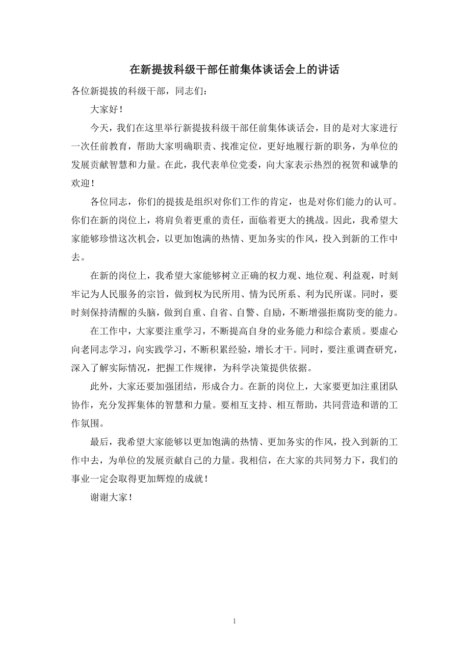 在新提拔科级干部任前集体谈话会上的讲话.doc_第1页