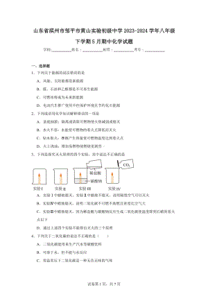 山东省滨州市邹平市黄山实验初级中学2023-2024学年八年级下学期5月期中化学试题.doc