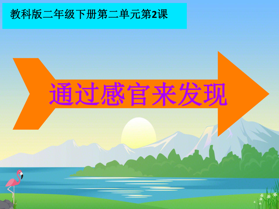 2.通过感官来发现（ppt课件）(共17张PPT)-2024新教科版二年级下册《科学》.pptx_第1页