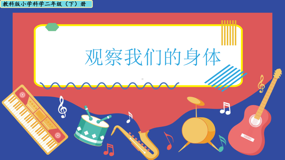 1.观察我们的身体（ppt课件）(共15张PPT+视频)-2024新教科版二年级下册《科学》.pptx_第1页