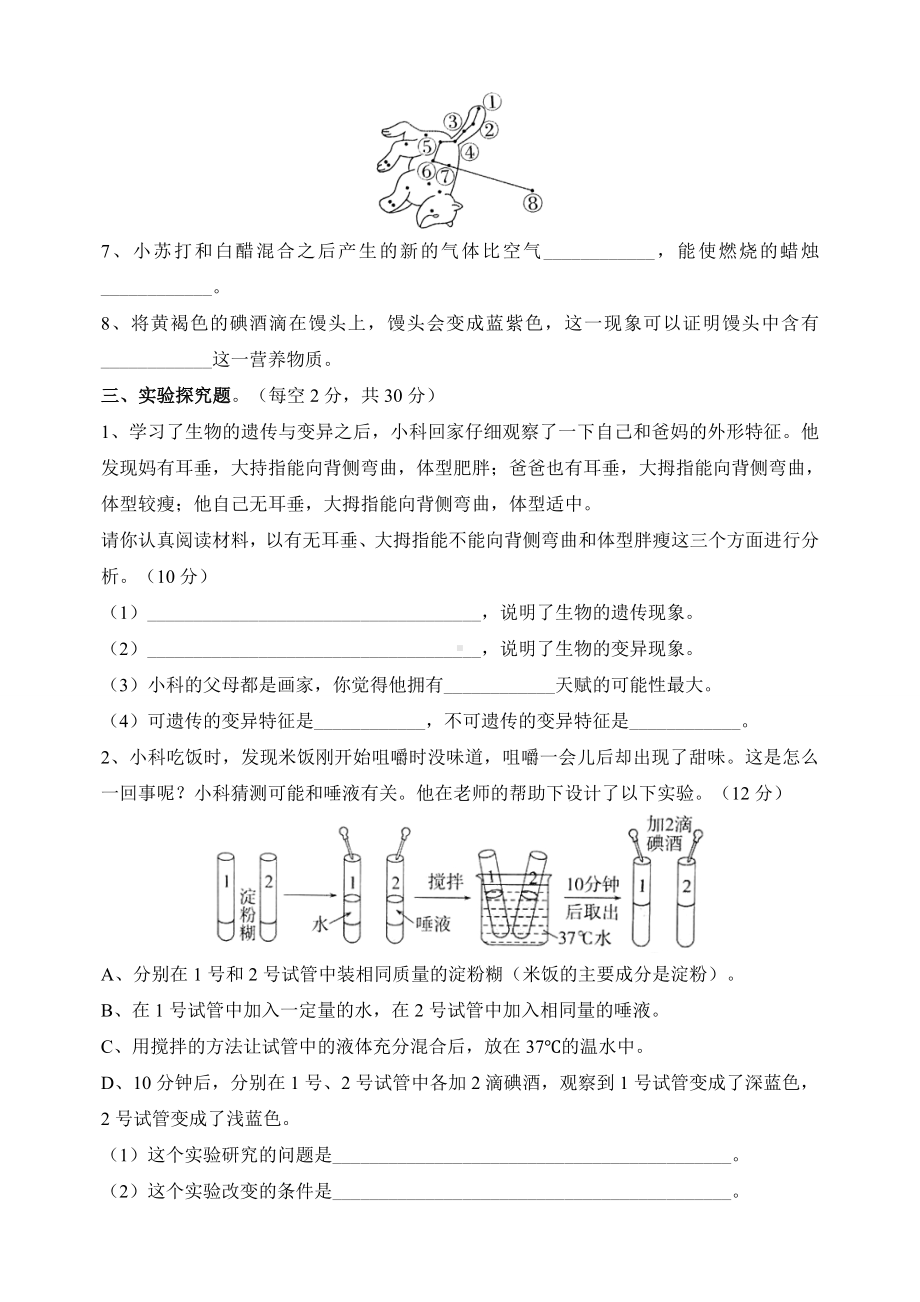 2024新教科版六年级下册《科学》期末综合能力检测试卷（附答案）.doc_第3页