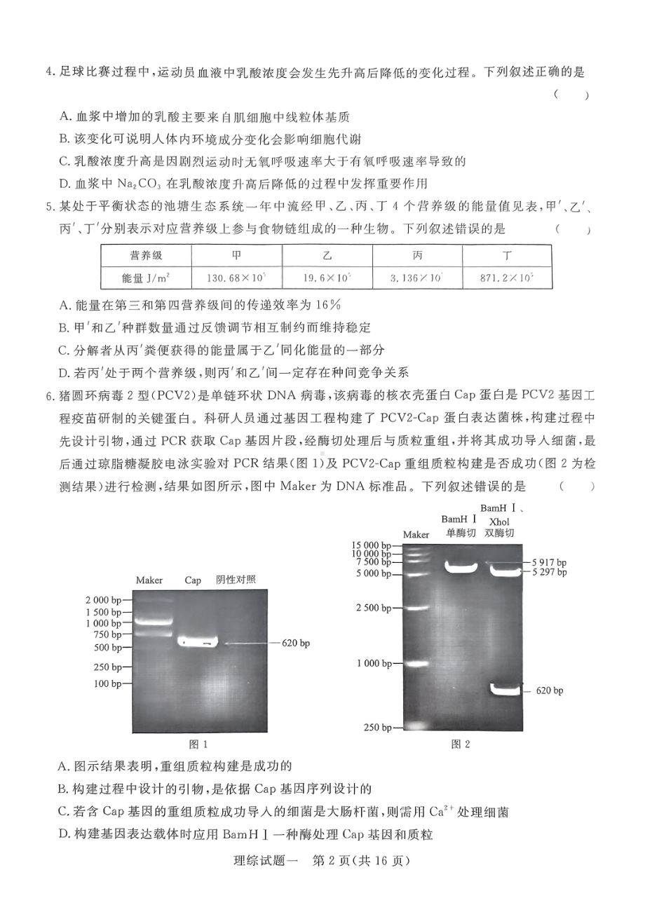 河南省周口市4校联考2023-2024学年高三下学期5月月考理综试题 - 副本.pdf_第2页