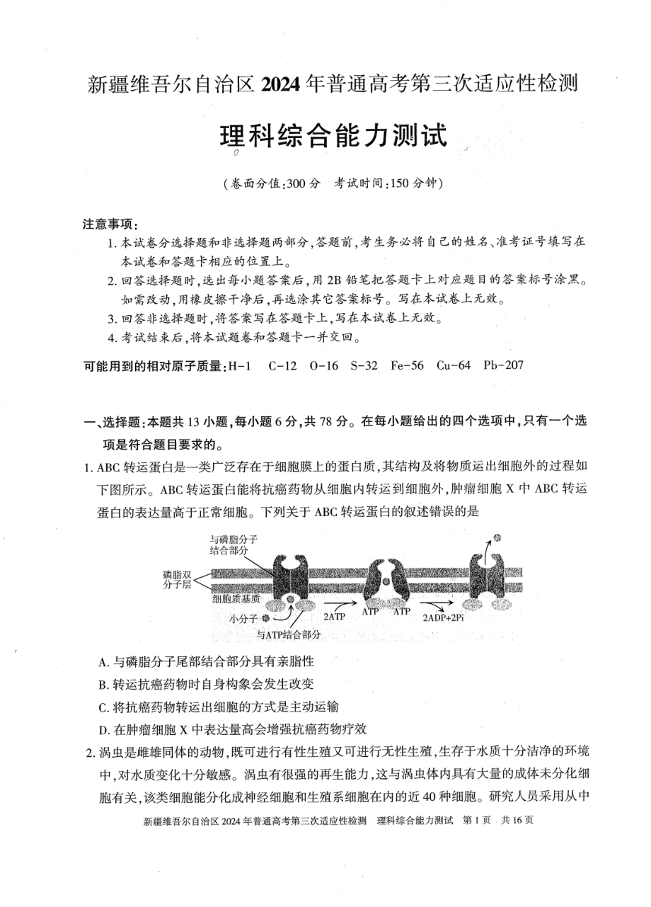 2024届新疆维吾尔自治区高三下学期三模考试理综试题 - 副本.pdf_第1页