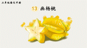 2023-2024部编版语文二年级下册13画杨桃（生字讲解）.ppt