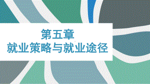 《大学生就业指导》课件第五章就业策略与就业途径.pptx