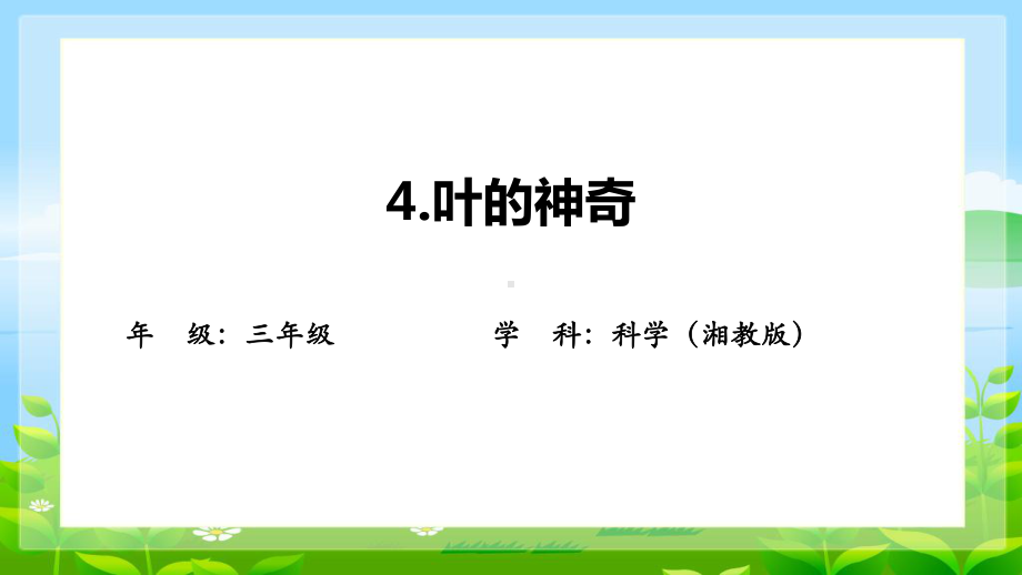 4.4《叶的神奇》 课件（共15张PPT）-2024新湘科版三年级下册《科学》.pptx_第1页