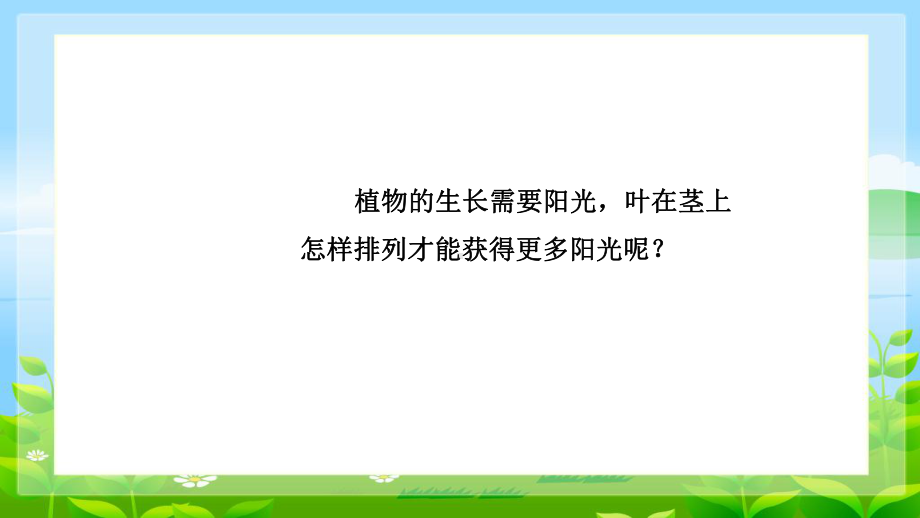 4.4《叶的神奇》 课件（共15张PPT）-2024新湘科版三年级下册《科学》.pptx_第3页