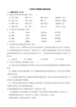 山东省菏泽市东明县2024年八年级下学期语文期末试卷(附答案）.docx