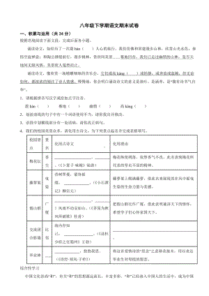 广西壮族自治区崇左市2024年八年级下学期语文期末试卷(附答案）.docx