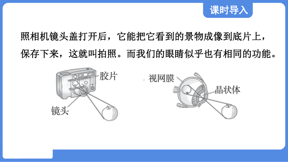 第四章 光的折射 透镜第四节 照相机与眼球 视力的矫正课件 苏科版物理八年级上册.pptx_第2页