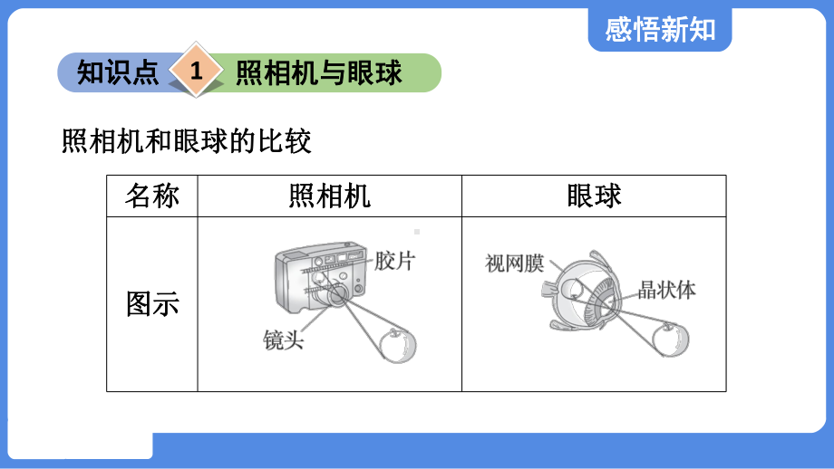 第四章 光的折射 透镜第四节 照相机与眼球 视力的矫正课件 苏科版物理八年级上册.pptx_第3页